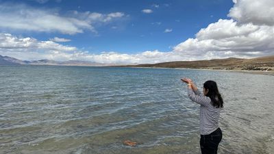 Kailash Mansarovar Yatra 2026 - 14 Days Sacred Tour from Kathmandu - Image - 12665